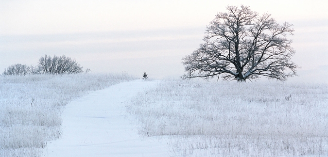 Winter in Latvia by VisitLatvia 
